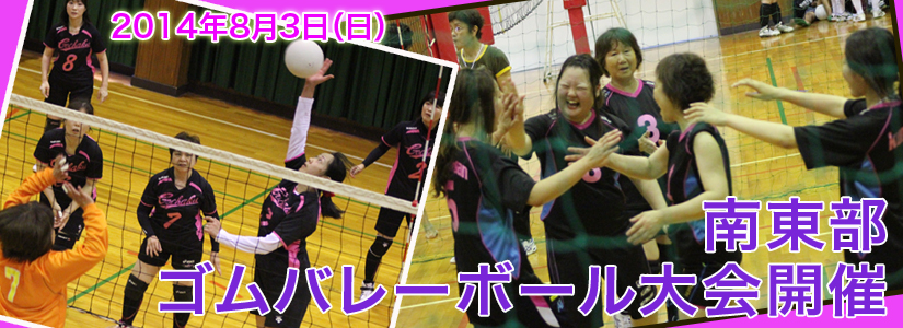 20140803volley825.jpg